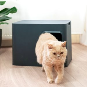 Maison de toilette de luxe pour chat - Hoopo – Image 11