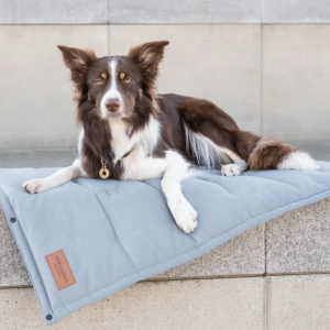 Matelas de voyage design pour chien - CLASSIC bowl and bone