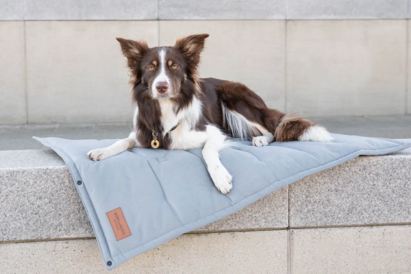 Matelas de voyage design pour chien - CLASSIC bowl and bone